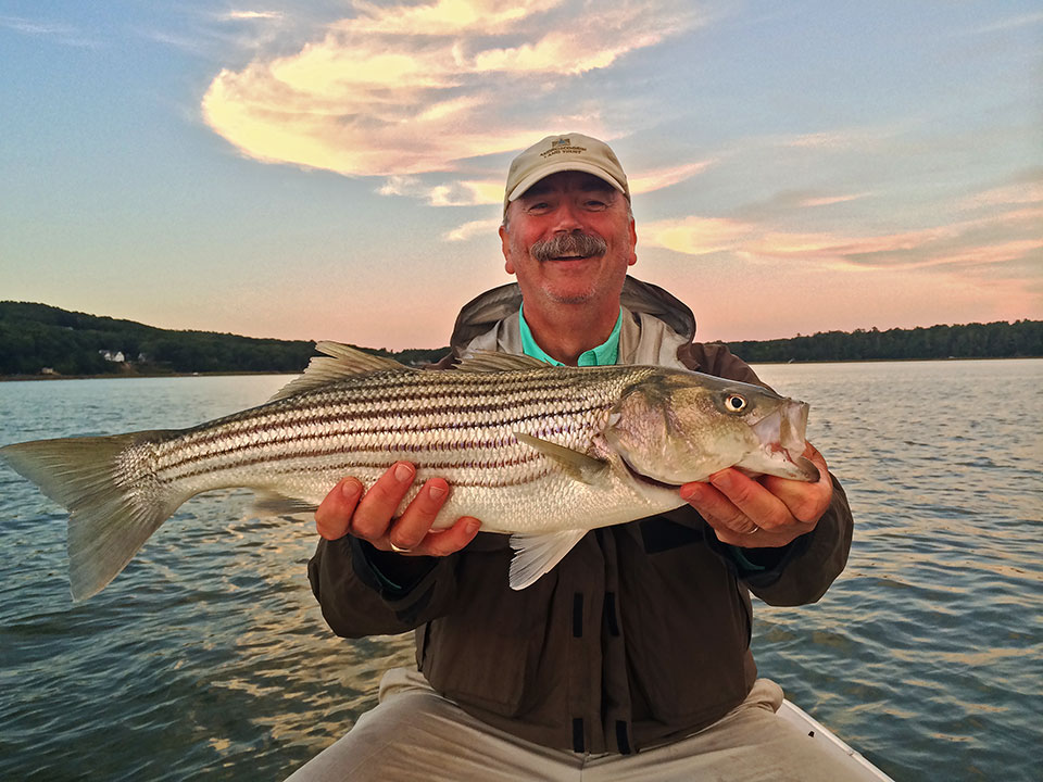 Gallery Tidal Expeditions Maine Striper Fishing Charters